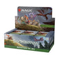 Boite de boosters Bloomburrow - FR